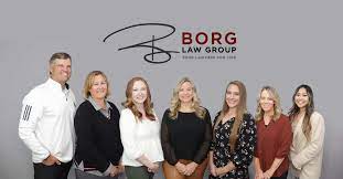 Borg Law Group