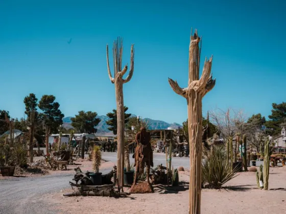Cactus Joe’s Desert Garden & Nursery