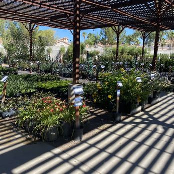 Star Nursery Garden Centers