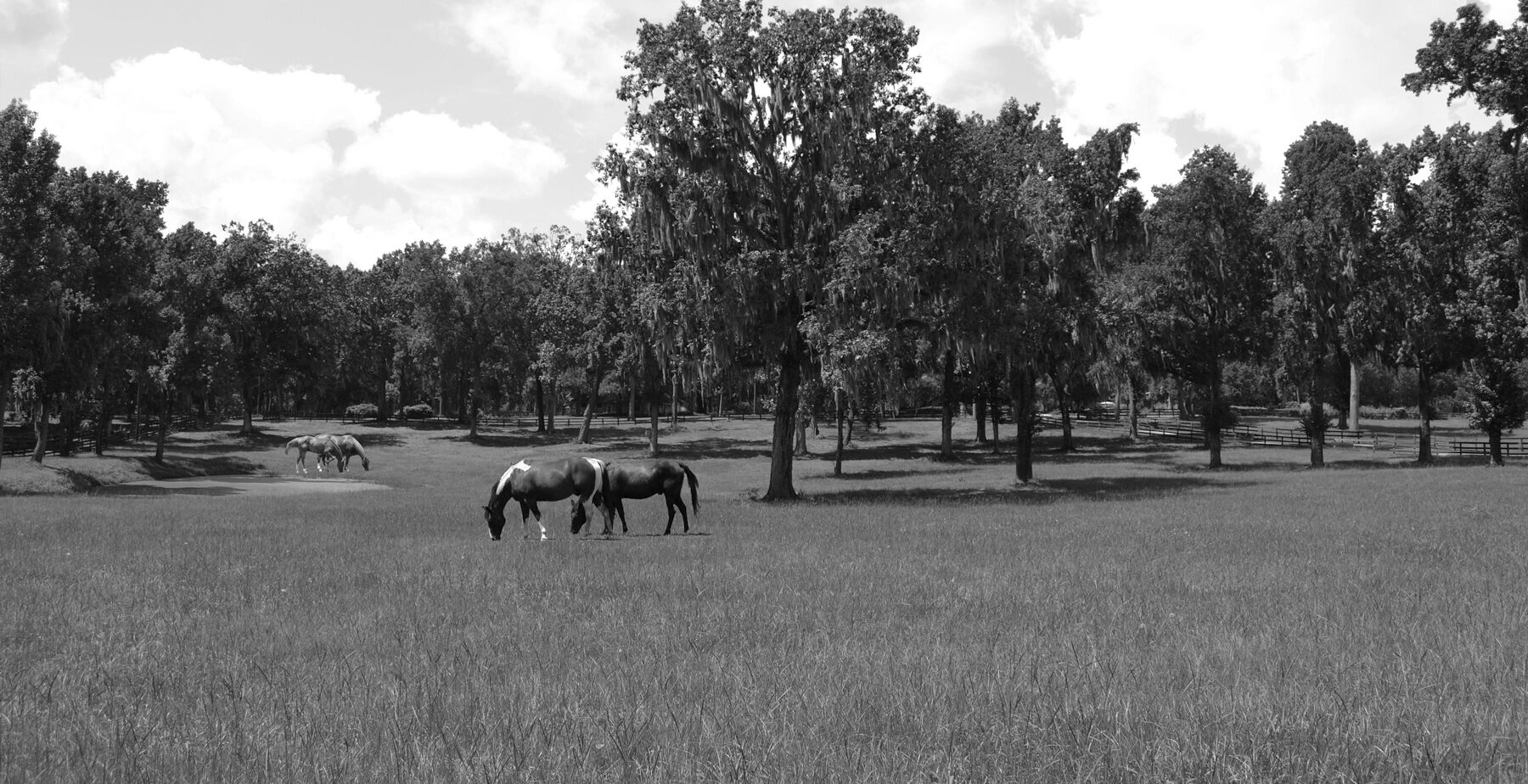 Bagen Law Accident Injury Lawyers