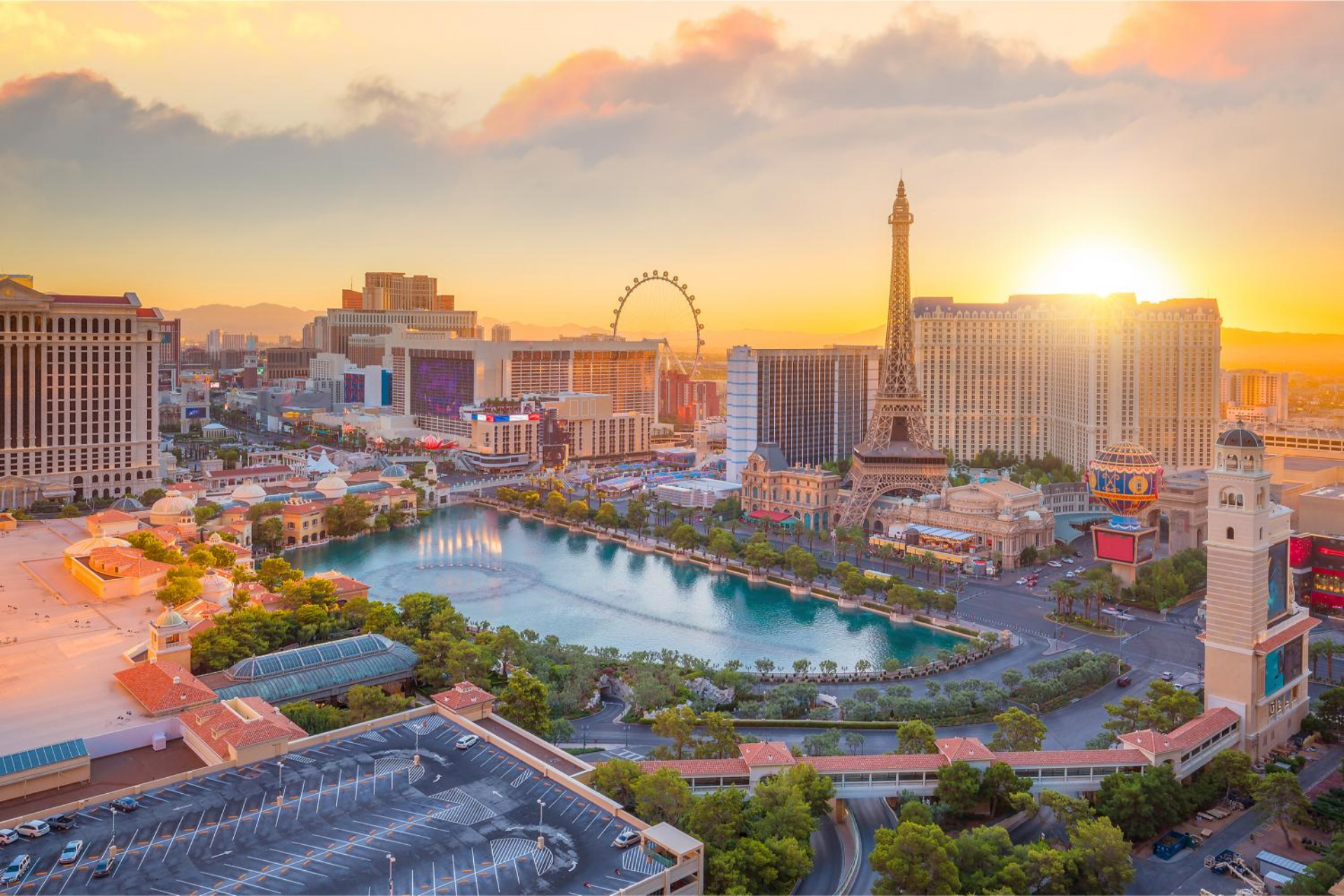 Festival Turf Las Vegas