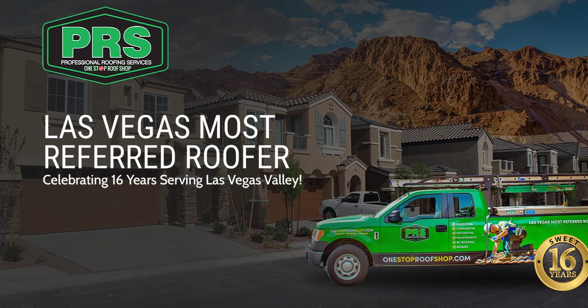 Professional Roofing Services