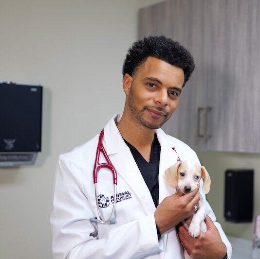 Animal Focus Vet