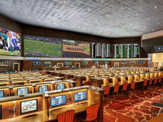 Last Man Standing - Station Casinos