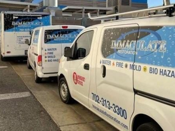 Immaculate Restoration