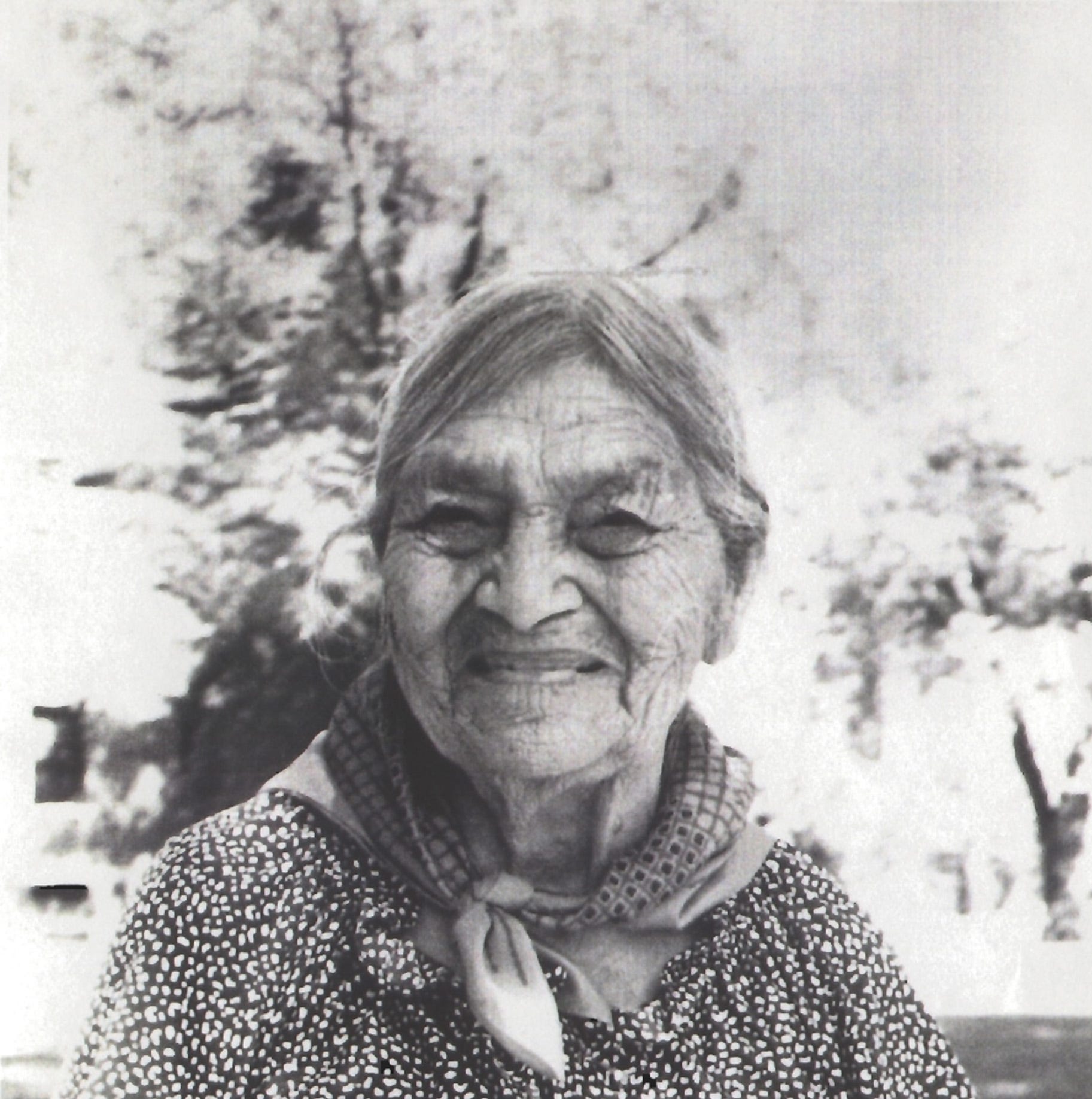 Phoebe Wallace