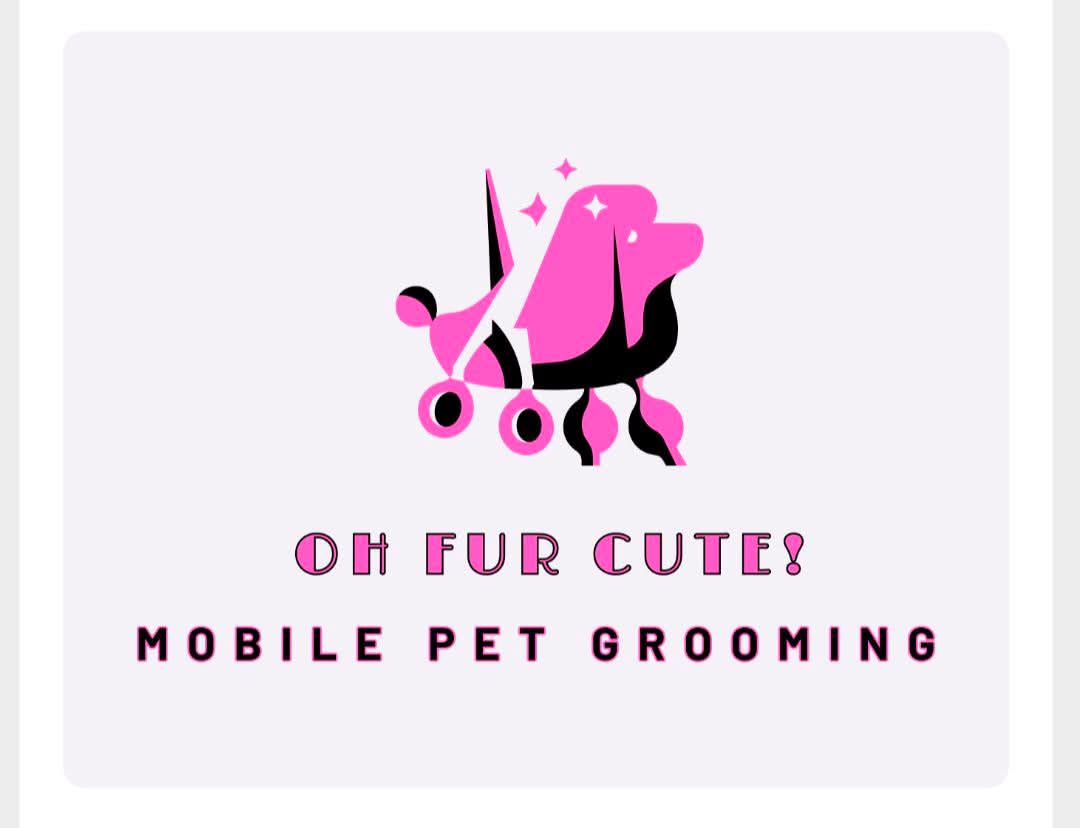 Online booking - Oh Fur Cute!