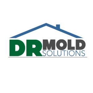 DR Mold Solutions